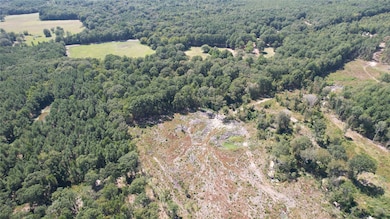 00 Plainview Rd, Pineland, TX 75968 - photo 3