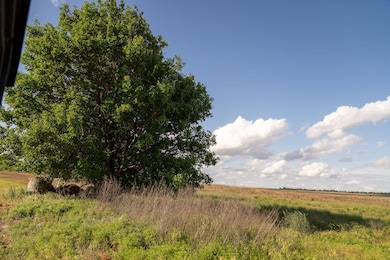 View of local wilderness featuring rural landscape