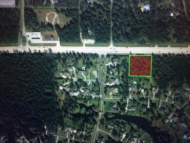0 Fm 1488, Magnolia, TX 77355 - photo 2