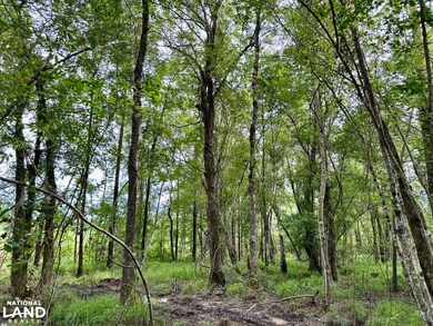 0 Bennett Colter Rd unit 25767774, Rentz, GA 31075 - photo 3