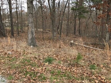 0 Frekleton Ln unit 1041589, Bella Vista, AR 72714 - photo 4