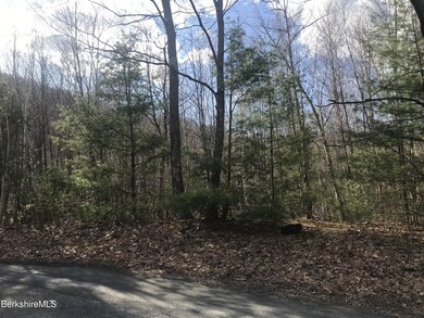 unlisted-address, Great Barrington, MA 01230 - photo 6