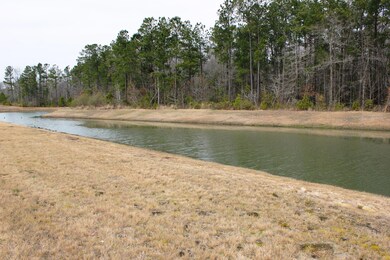cypress ridge 007