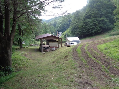 78 Rochetti Dr, Crumpler, WV 24868 - photo 5