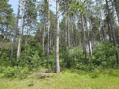 Lot 6 Two Sisters Ct, Stevens Point, WI 54482 - photo 4
