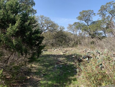 601 County Road 241, Hondo, TX 78861 - photo 5