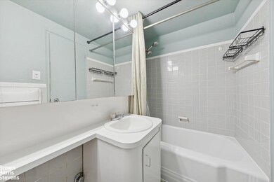 The Blackstone unit 7F, Bronx, NY 10463 - photo 6