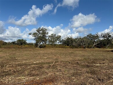 1 County Road 700, Brazoria, TX 77422 - photo 2