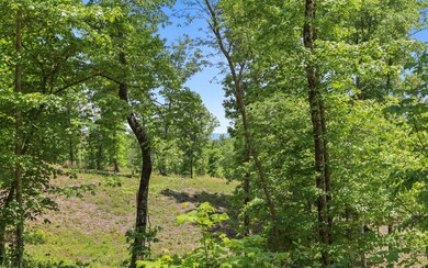 Additional View