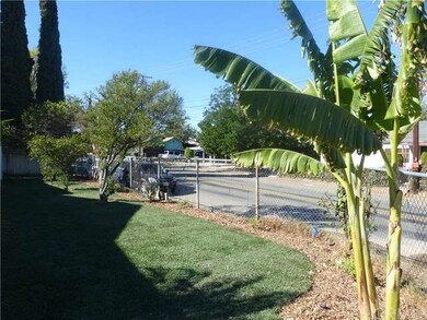 Side yard with sprinkling system