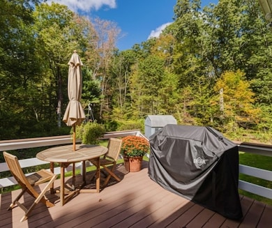 16 Park Ln, Norton, MA 02766 - photo 7