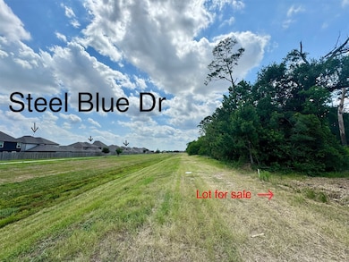 0 W Hardy 31b Rd unit 68248209, Houston, TX 77073 - photo 6