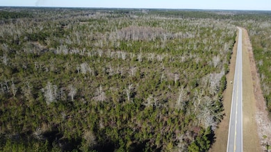 Lot 3 Mcmillan Rd, Hahira, GA - photo 6