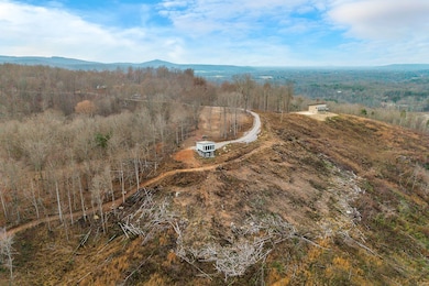 431 Bald Knob Cummings Cove Roads, Doyle, TN 38559 - photo 5