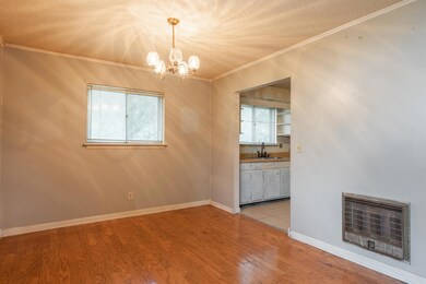 9_Robin_Cir_13 (3)
