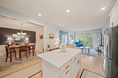 3411 Pennington Dr unit 3411, Walpole, MA 02081 - photo 4