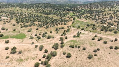 DJI_0029