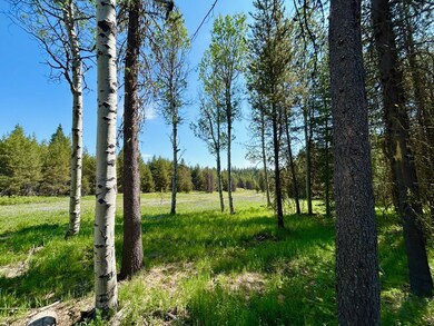 TBD Sawtooth Loop, Cascade, ID 83611 - photo 3