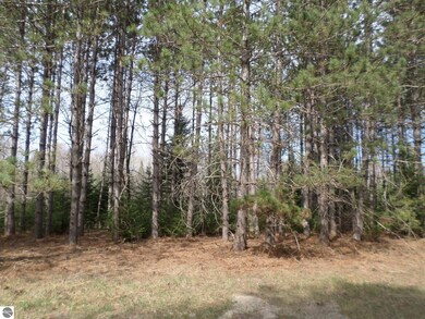 0 S Campbell Rd, West Branch Township, MI 48661 - photo 7