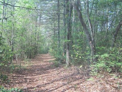 One of the trails