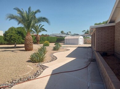 4240 Back yard