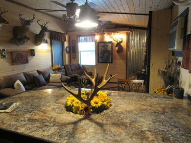 Living room from Kitchen