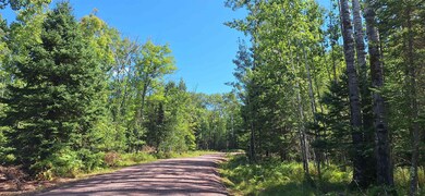 View of asphalt street with a wooded view