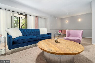 9625 Whiteacre Rd unit B3, Columbia, MD 21045 - photo 7