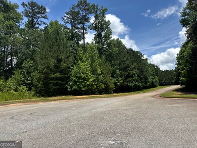 4309 Giverney Blvd, Fairburn, GA 30213 - photo 5