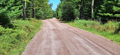 View of dirt / gravel road
