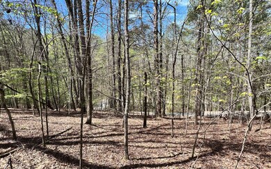 Additional View