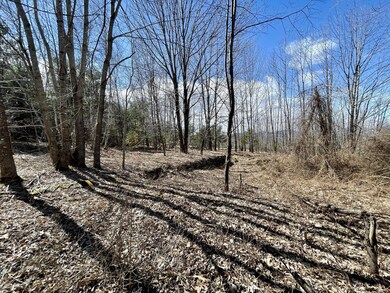 Front of lot