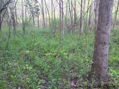 569 Old Kings Hwy, Accord, NY 12404 - photo 4