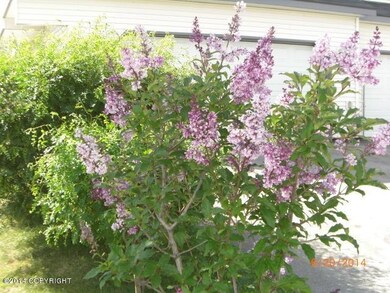 Enjoy the Aroma of Your Own Lilacs!