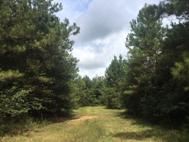 00 N Patten Rd, Tylertown, MS 39667 - photo 3