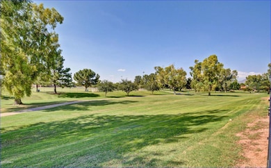 26 Miles of Green Belt thru Scottsdale