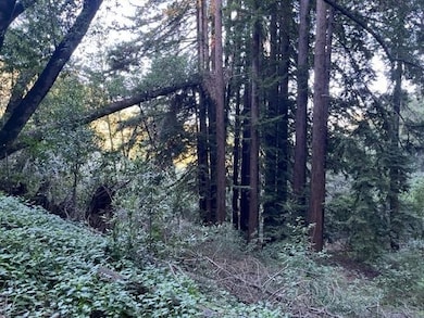 0 Redwood Retreat Rd, Gilroy, CA 95020 - photo 7