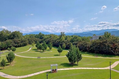 Mountain View Condominiums unit 3405, Pigeon Forge, TN 37863 - photo 2