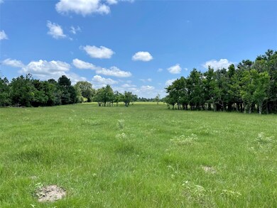 16620 Penick Rd, Waller, TX 77484 - photo 5