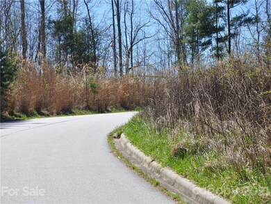 36.35 ACRES Half Moon Trail, Hendersonville, NC 28792 - photo 5