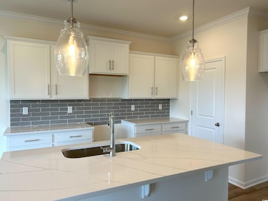 165 River Birch Dr, Loris, SC 29569 - photo 3