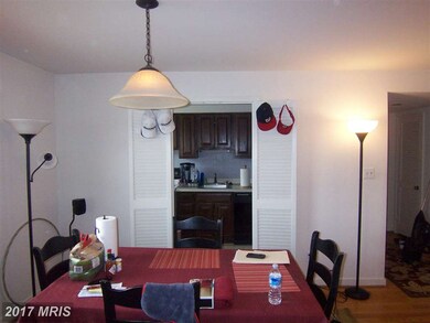 2244 Washington Ave unit 202, Silver Spring, MD 20910 - photo 6