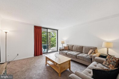 3109 Patrick Henry Dr unit 623, Falls Church, VA 22044 - photo 4