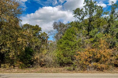 13 Lake Country Dr, Granbury, TX 76049 - photo 4