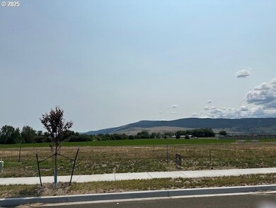 10703 Greg Ln, Islandcity, OR 97850 - photo 2