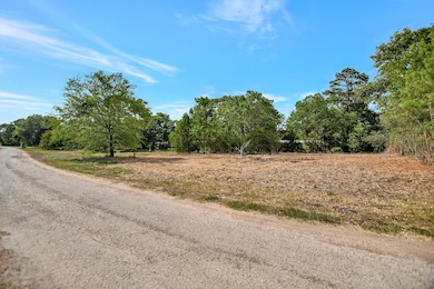 25254 River Run Rd, Hockley, TX 77447 - photo 2