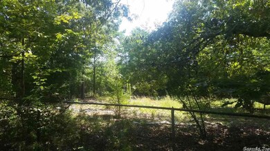 A Shale Ln, Conway, AR 72032 - photo 4