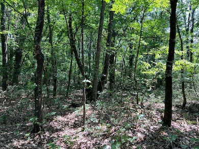 0 5 49 Acres On Meadow Creek Dr, Harrison, AR 72601 - photo 5