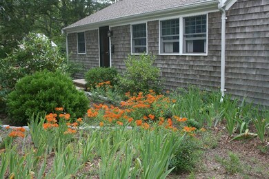 Additional Photo