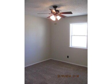 311 Wayne Villines Rd, Prairie Grove, AR 72753 - photo 6